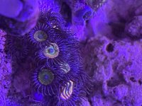 IMG_4833.jpeg