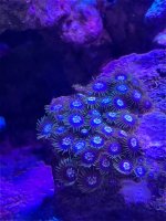 IMG_4834.jpeg