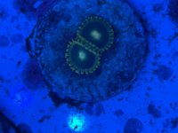 IMG_2755.jpeg