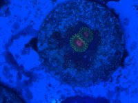 IMG_2756.jpeg