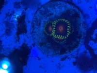 IMG_2757.jpeg