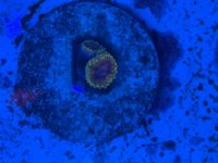 IMG_2758.jpeg