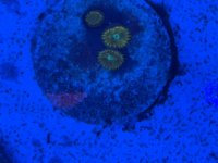 IMG_2759.jpeg