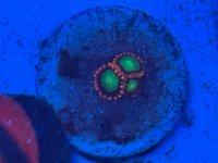 IMG_2767.jpeg