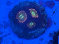IMG_2769.jpeg