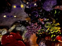 IMG_2751.jpeg