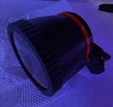 IMG_0921.jpeg