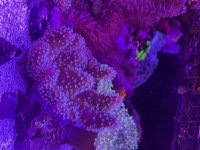 IMG_5957.jpeg