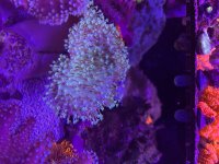 IMG_5958.jpeg