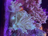 IMG_5961.jpeg