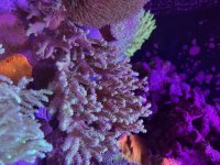 IMG_5962.jpeg
