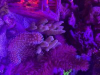 IMG_5960.jpeg
