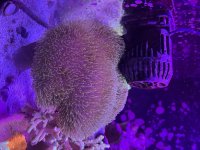 IMG_5963.jpeg