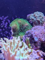 PXL_20251106_213722421.jpg