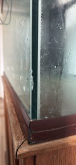 F459702B-8E4F-47EA-91AC-E3B60B7326D7.jpeg