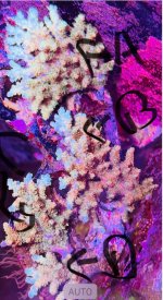 IMG_1893.jpeg