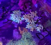 IMG_1866.jpeg