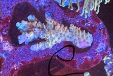 IMG_1892.jpeg