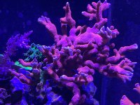 IMG_4899.jpeg