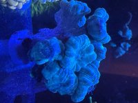 IMG_9439.jpeg