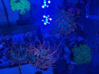 IMG_0299.jpeg