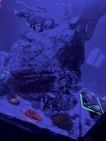 IMG_9435.jpeg