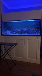 72AF6EBB-A175-40EE-8404-9455BBCF7019.jpeg 72AF6EBB-A175-40EE-8404-9455BBCF7019.jpeg