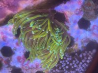 IMG_2809.jpeg