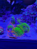 IMG_0713.jpeg