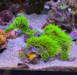 IMG_0725.jpeg