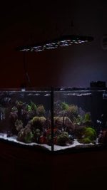 IMG_0494.jpeg
