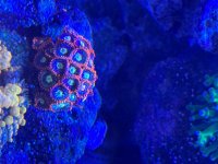 IMG_2281.jpeg
