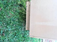 IMG_8420.jpeg