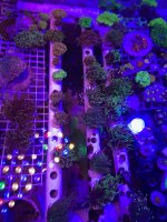 IMG_20251123_094600.jpg
