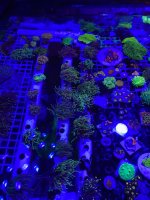 IMG_20251123_094545.jpg
