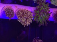 IMG_20251123_094553.jpg