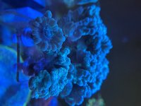 IMG_9462.jpeg