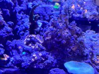 IMG_4031.jpeg