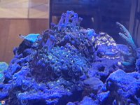 IMG_4033.jpeg