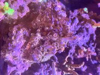 IMG_4034.jpeg