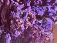 IMG_4035 (1).jpeg