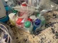 IMG_2081.jpeg