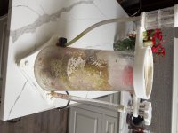 IMG_2071.jpeg