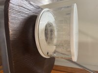 IMG_2065.jpeg