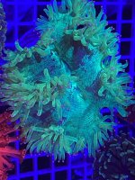 IMG_20251129_145038.jpg