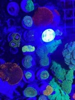 IMG_0822.jpg
