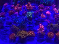 IMG_0827.jpg