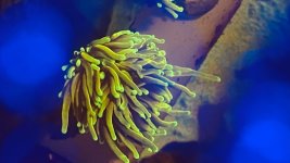 IMG_0831.jpg