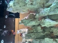 IMG_0380.jpg