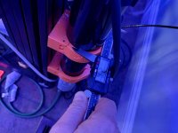 IMG_3230.jpeg IMG_3230.jpeg